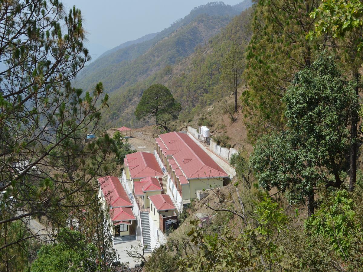 岩石天堂度假村 兰斯顿 外观 照片